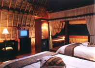 Bali hotels - Graha Ubud Hotel